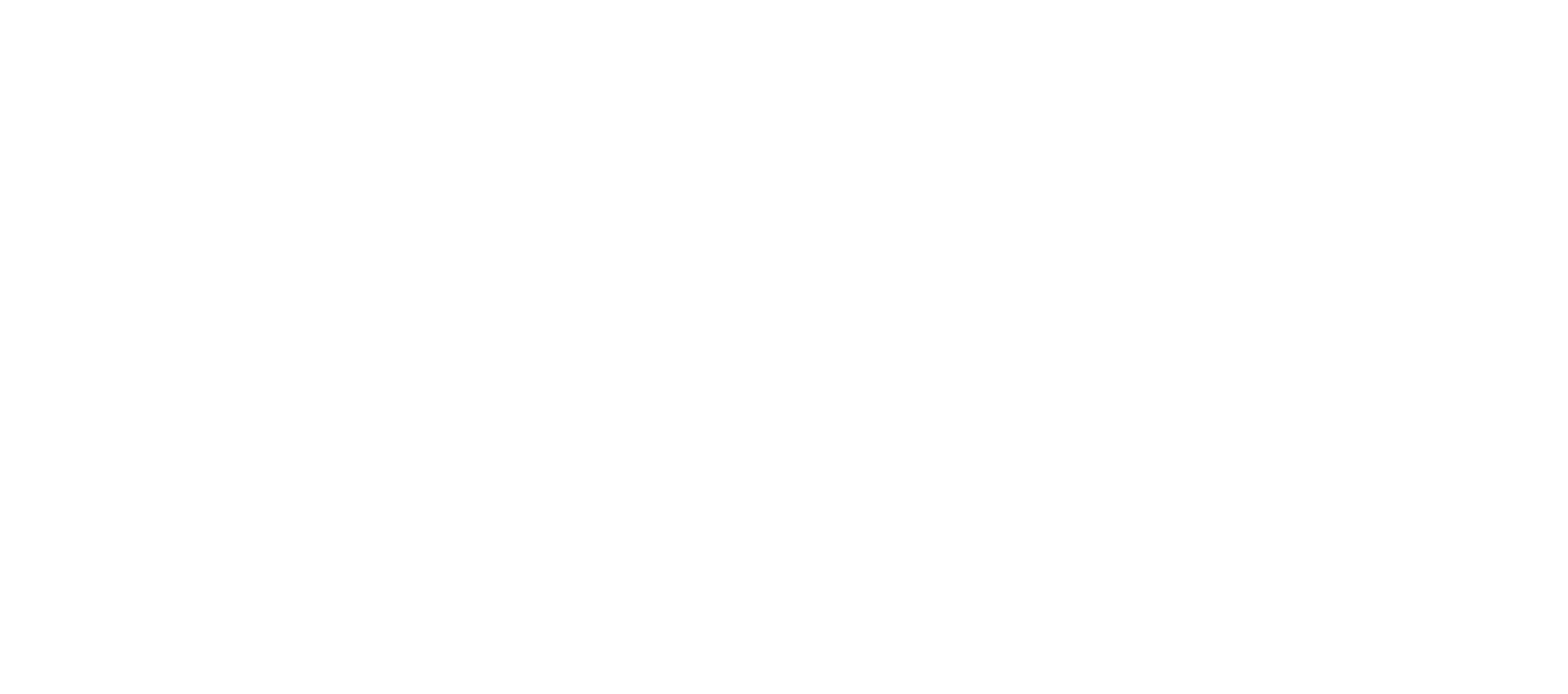 Zenna Concept Logo Beyaz